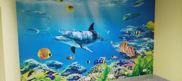 Molerski radovi i tapete